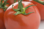 Zongedroogde tomaat recepten