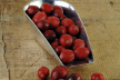 Tiramisu met cranberry's recept