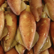 Escabeche de calamares (gemarineerde inktvis) recept