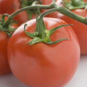 Tomatensalsa recept