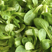 Tonijn op groene salade recept