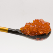 Zalmeitjes
