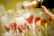 Frambozen-Champagne Sorbet recept