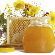 Honingsesamgarnalen recept