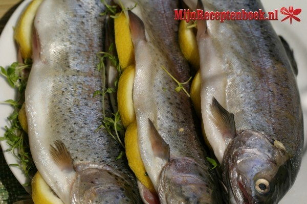 Oosterse forel in papillot