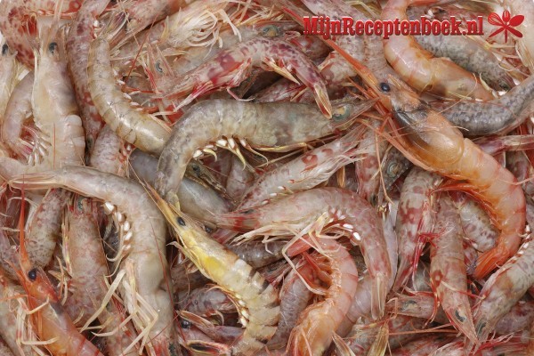 BBQ-Shrimps